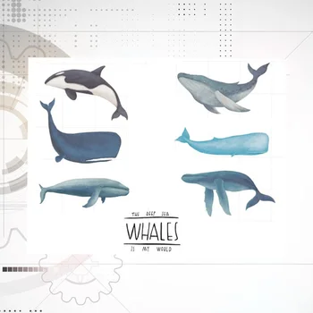 1 Set of Killer Whale Wall Sticker Self-adhesive Background Wall Sticker Wallpaper for Bedroom
1 Set of Killer Whale Wall Sticker Self-adhesive Background Wall Sticker Wallpaper for Bedroom