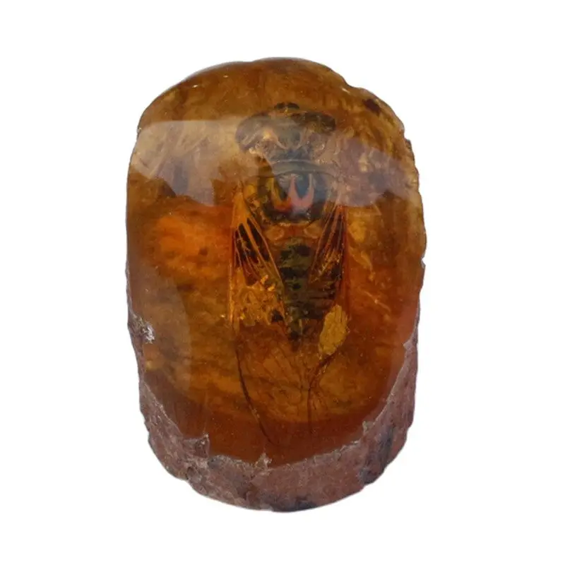 

Exquisite Original Stone Amber Honey Wax Insect Home Decoration