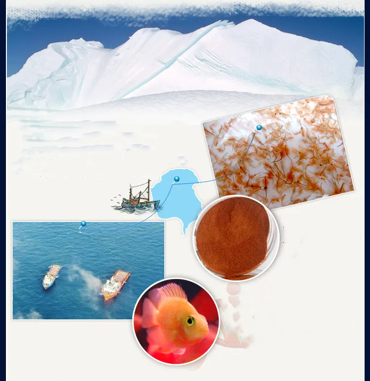 50g Small Fish Brine Shrimp Eggs Artemia Forages Healthy Ocean Nutrition Fish Food For Juvenile fish Supply 
50g Small Fish Brine Shrimp Eggs Artemia Forages Healthy Ocean Nutrition Fish Food For Juvenile fish Supply