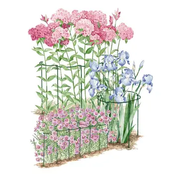 Curved Plant Support Bracket Vine Rose Clematis Climbing Frame Plant Cage Plant Support Balcony Potted Support
Curved Plant Support Bracket Vine Rose Clematis Climbing Frame Plant Cage Plant Support Balcony Potted Support