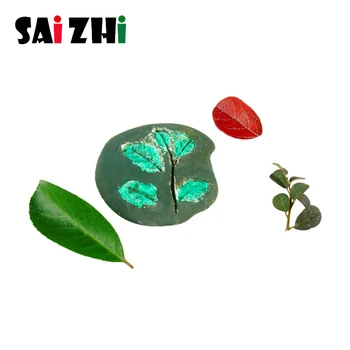 Saizhi Leaf Vein Fossil DIY Children Science Experiment Toy Science Technology Small Production Stem Handmade Material Kits
Saizhi Leaf Vein Fossil DIY Children Science Experiment Toy Science Technology Small Production Stem Handmade Material Kits