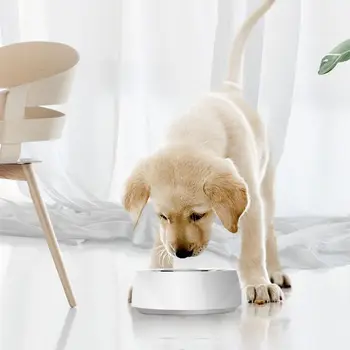 1.5L Smart Heated Pet Bowl with Anti-slip Bottom Constant Temperature Accessory
1.5L Smart Heated Pet Bowl with Anti-slip Bottom Constant Temperature Accessory