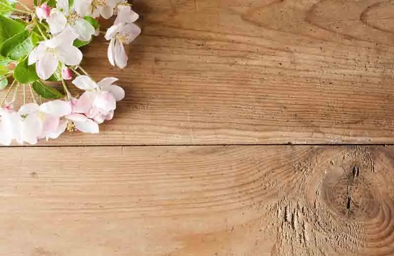 SHENGYONGBAO Vinyl Custom Photography Backdrops Prop Wood Planks theme Photo Studio Background TW19912-4025
SHENGYONGBAO Vinyl Custom Photography Backdrops Prop Wood Planks theme Photo Studio Background TW19912-4025