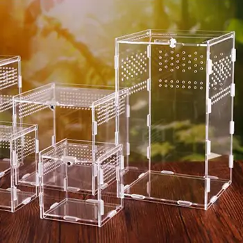 Practical Reptile Breeding Box Insect Feeding Box Acrylic Creeper House Transparent Insect Feeder Box (15x15x25cm)
Practical Reptile Breeding Box Insect Feeding Box Acrylic Creeper House Transparent Insect Feeder Box (15x15x25cm)