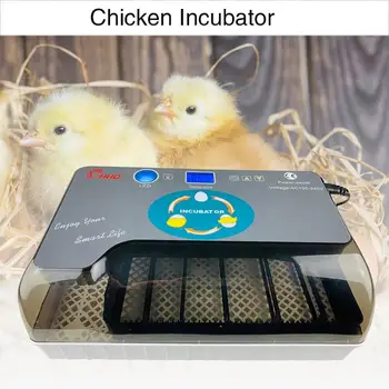Home Incubator with LED Lighting Ew-12 Automatic Incubator Chicken Duck Goose Bird Hatcher Animal Husbandry 12Eggs
Home Incubator with LED Lighting Ew-12 Automatic Incubator Chicken Duck Goose Bird Hatcher Animal Husbandry 12Eggs