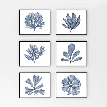 Blue Coral Sea Fan Posters and Prints Modern Watercolor Hamptons Style Art Canvas Painting Coastal Pictures Home Wall Art Decor
Blue Coral Sea Fan Posters and Prints Modern Watercolor Hamptons Style Art Canvas Painting Coastal Pictures Home Wall Art Decor