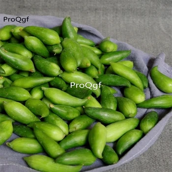 Ngryise 10Pcs A Set Cyclanthera pedata
Ngryise 10Pcs A Set Cyclanthera pedata