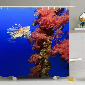 Shower Curtain Set with Hooks 72x78 Channel Lionfish Swim Dendronephthya Next Hunter Vivid Red Tree Animals to Wildlife Nature
Shower Curtain Set with Hooks 72x78 Channel Lionfish Swim Dendronephthya Next Hunter Vivid Red Tree Animals to Wildlife Nature