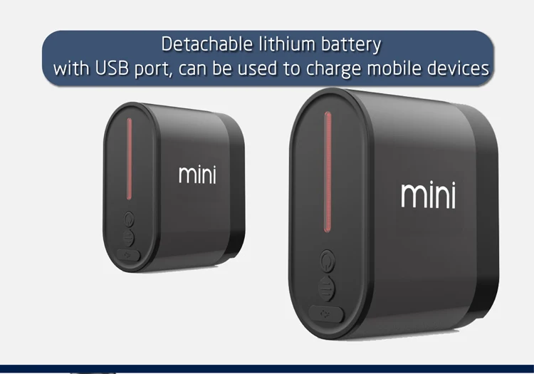F1mini_-1_09.jpg
