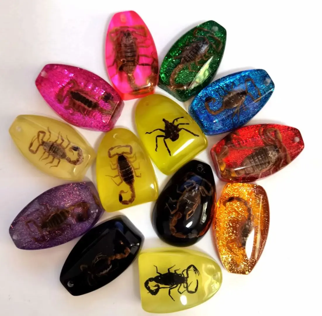 

13 pcs fashion real scorpion insect bug mixed style keychain