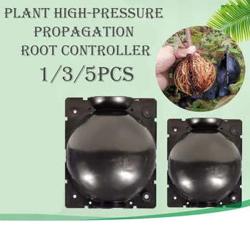 1/3/5/10pc Plant Rooting Device High Pressure Propagation Ball High Pressure Box Grafting Plant Rooting Device Plant Root Box
1/3/5/10pc Plant Rooting Device High Pressure Propagation Ball High Pressure Box Grafting Plant Rooting Device Plant Root Box