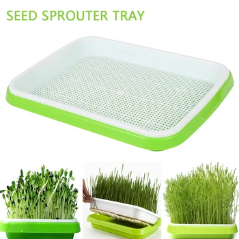 Seed Sprouter Tray PP Soil-Free Big Capacity Healthy Wheatgrass Grower without Cover Seedling Tray Sprout Plate Hydroponic
Seed Sprouter Tray PP Soil-Free Big Capacity Healthy Wheatgrass Grower without Cover Seedling Tray Sprout Plate Hydroponic