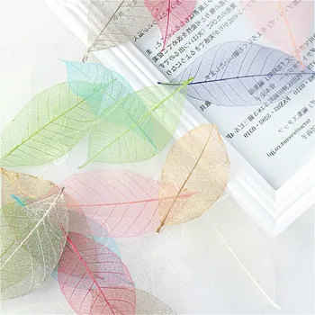 1pc Creative Color Leaf Vein Bookmark Beautiful Cool Book Page Mark Children Student Gift Stationery School Office Supplies
1pc Creative Color Leaf Vein Bookmark Beautiful Cool Book Page Mark Children Student Gift Stationery School Office Supplies
