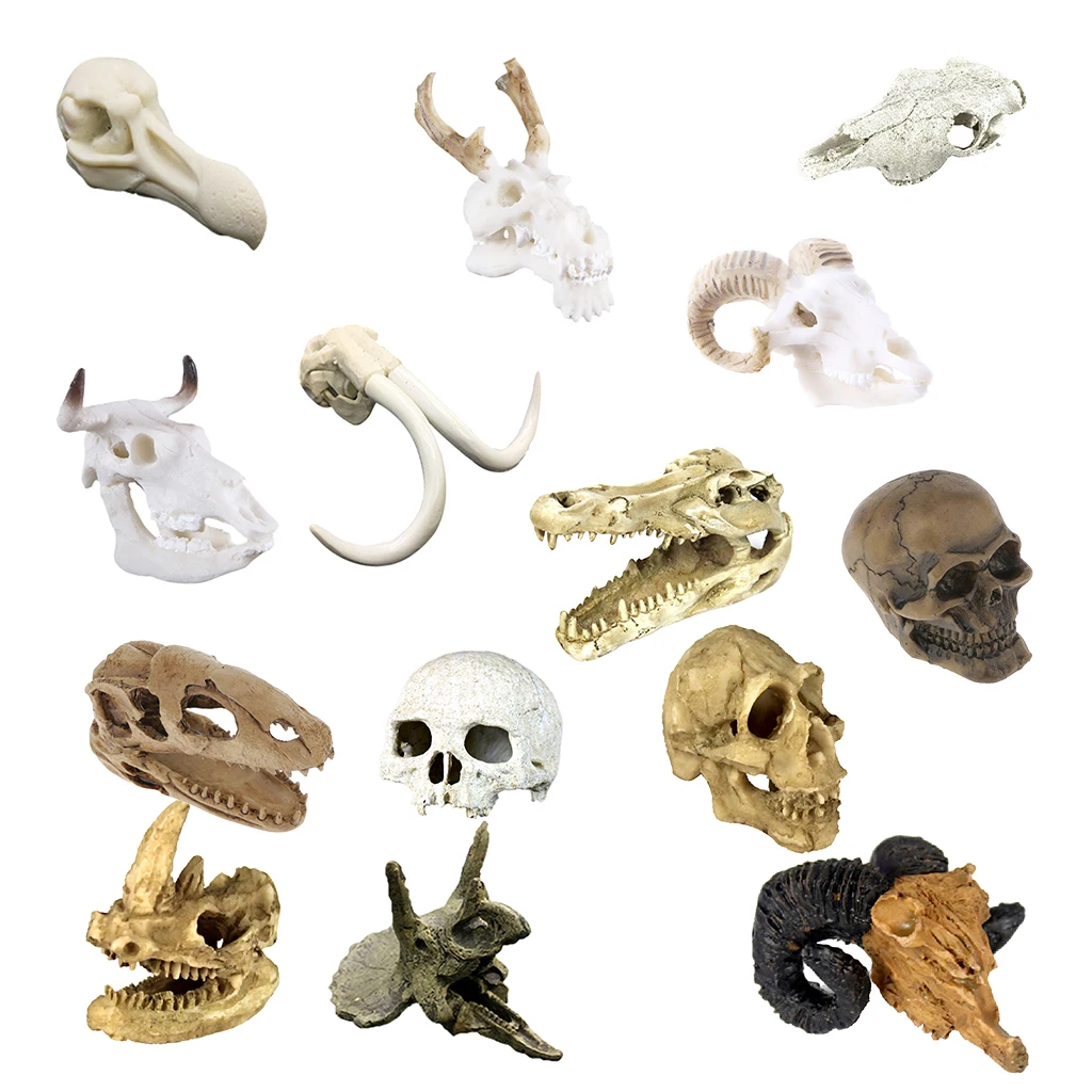 Reptile,Snake,Turtle,Vivarium Rock,Caves,Decor Aquarium Ornament Skull Head Reptile,Snake,Turtle,Vivarium Rock,Caves,Decor Aquarium Ornament Skull Head