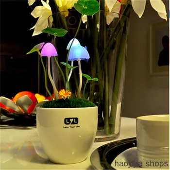 New potted plant style ceramic shell home lamp 110V 220V EUUS plug table lamp mushroom lamp sensor controller LED night light
New potted plant style ceramic shell home lamp 110V 220V EUUS plug table lamp mushroom lamp sensor controller LED night light
