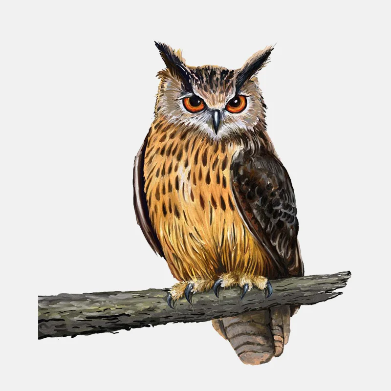Interesting Owl Standing on A Branch Car Stickers Motorcycle Decals Waterproof Windshield Decals PVC 15cm X 15cm
Interesting Owl Standing on A Branch Car Stickers Motorcycle Decals Waterproof Windshield Decals PVC 15cm X 15cm