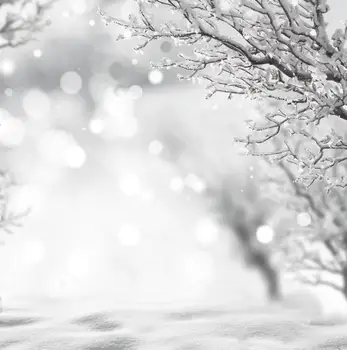 Winter Landscape Photography Backdrop Ice Snowflake Picture Backdrop Birthday Vinyl Photo Studio Background
Winter Landscape Photography Backdrop Ice Snowflake Picture Backdrop Birthday Vinyl Photo Studio Background