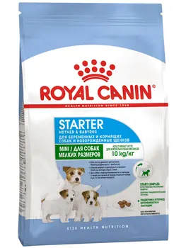 ROYAL CANIN ROYAL CANIN MINI STARTER for puppies of small breeds up to 2 months, pregnant and lactating bitches
ROYAL CANIN ROYAL CANIN MINI STARTER for puppies of small breeds up to 2 months, pregnant and lactating bitches