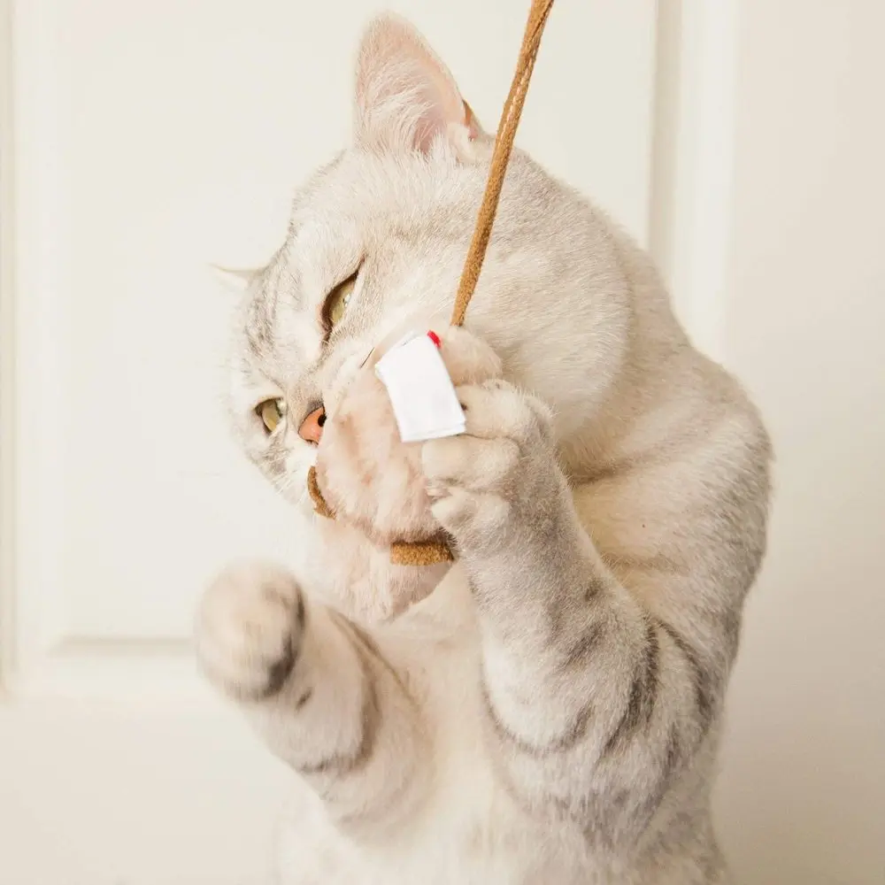 mouse toys