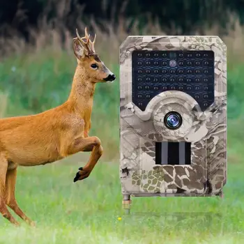 Hunting Camera 0.8s Trigger Time 120 Degrees PIR Sensor Wide Angle Infrared Night Cameras Scouting Camera
Hunting Camera 0.8s Trigger Time 120 Degrees PIR Sensor Wide Angle Infrared Night Cameras Scouting Camera