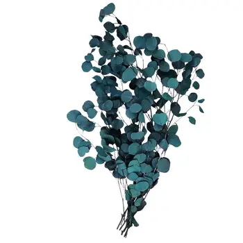 Artificial Leaves Home Decor Wedding Plants Eucalyptus Dried Flowers Artificial Decorative Dried Flower Bouquet For Decoration
Artificial Leaves Home Decor Wedding Plants Eucalyptus Dried Flowers Artificial Decorative Dried Flower Bouquet For Decoration