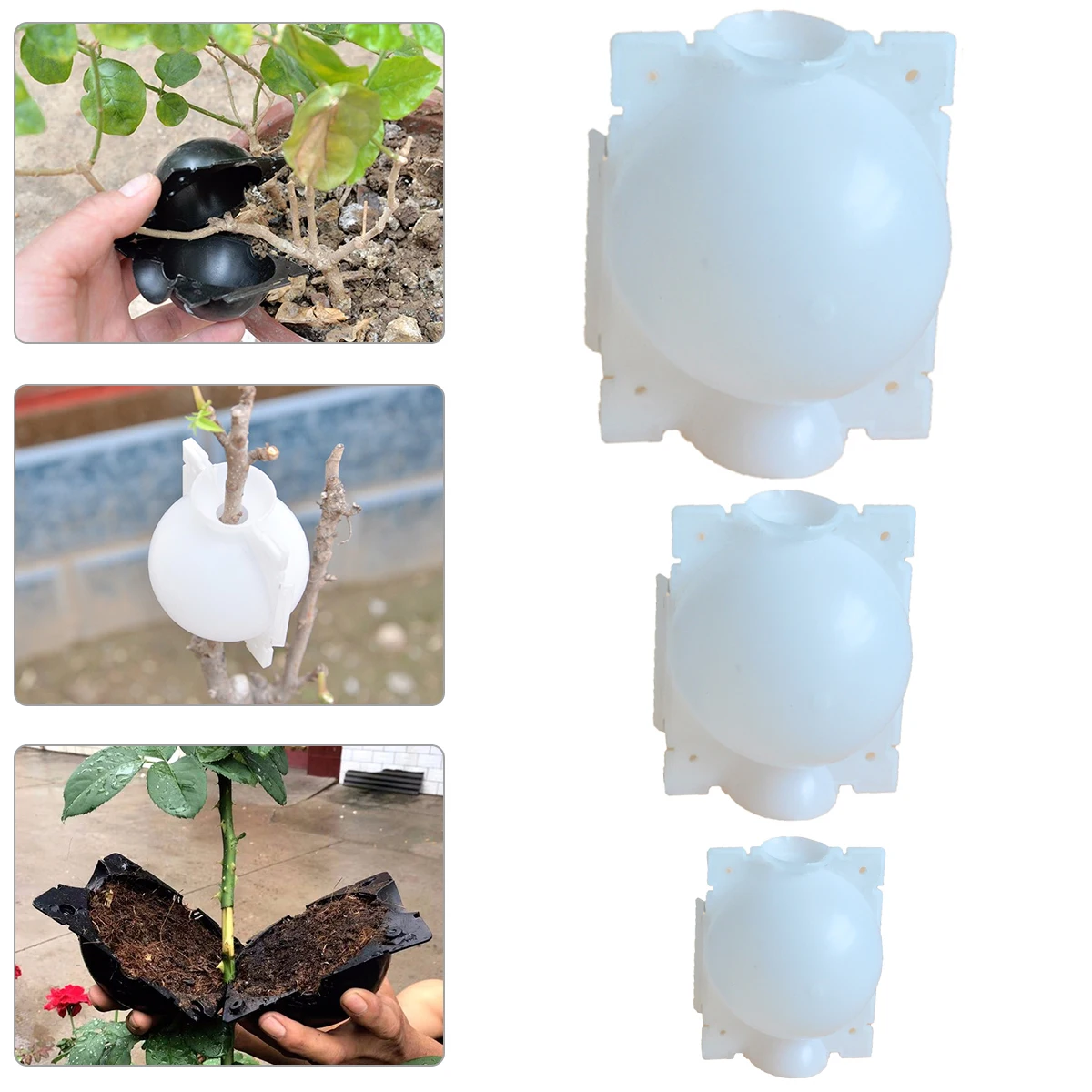 Plant Rooting Device fast growing High Pressure Propagation Transmission Ball High Pressure Box Growth Equipment Plastic
Plant Rooting Device fast growing High Pressure Propagation Transmission Ball High Pressure Box Growth Equipment Plastic