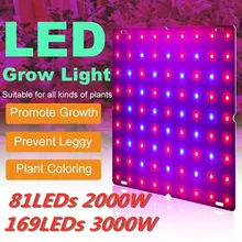 LED Grow Light 2000W 3000W 81 LEDs / 169 LEDs Phytolamp Full Spectrum 1 Mode Switch Veg Bloom Indoor Plant Growth Lamp
LED Grow Light 2000W 3000W 81 LEDs / 169 LEDs Phytolamp Full Spectrum 1 Mode Switch Veg Bloom Indoor Plant Growth Lamp
