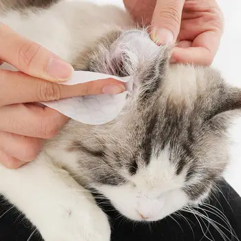 100Pieces/Set Pet Wet Tissue Non-irritating Wipes for Cat Ear Cleaning
100Pieces/Set Pet Wet Tissue Non-irritating Wipes for Cat Ear Cleaning