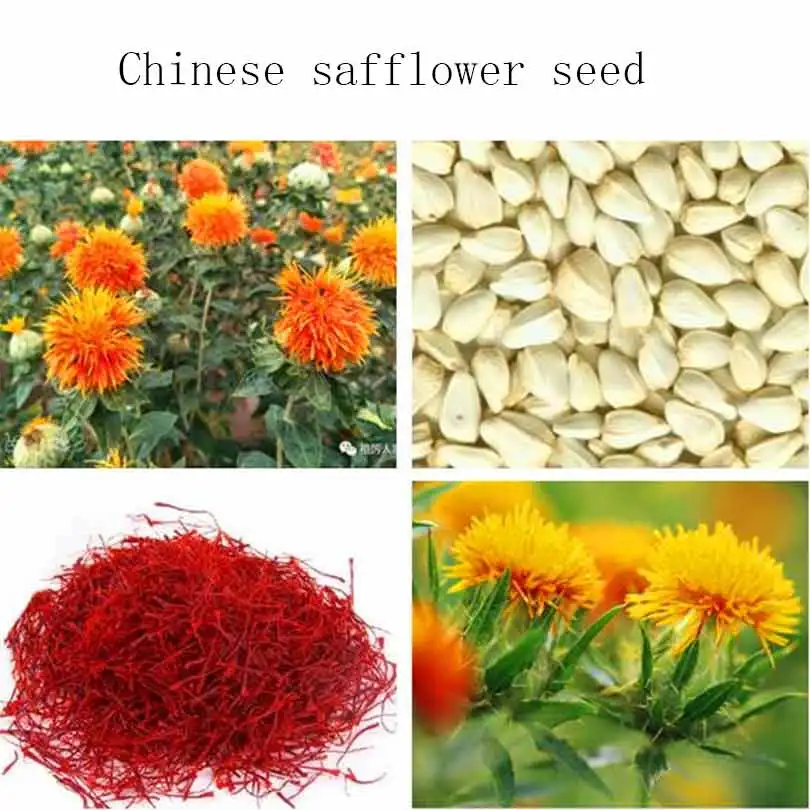 

in xinjiang safflower seed material grass safflower grass safflower safflower squeezed oil can be used as a medicine 50pcs