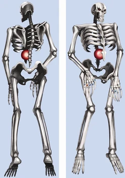 Big Skull 50x160 Rem Pillow Case Cosplay Anime Dakimakura Waifu Hugging Body Decorative Cartoon Manga Long Pillow Cover Gift
Big Skull 50x160 Rem Pillow Case Cosplay Anime Dakimakura Waifu Hugging Body Decorative Cartoon Manga Long Pillow Cover Gift