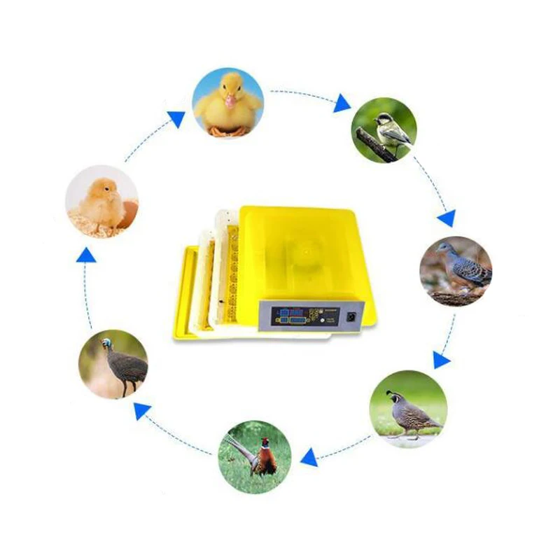 Newest Digital Egg Hatching Incubator With Temperature Alarm/Humidity Alarm For Birds 4 Newest Digital Egg Hatching Incubator With Temperature Alarm/Humidity Alarm For Birds 4
