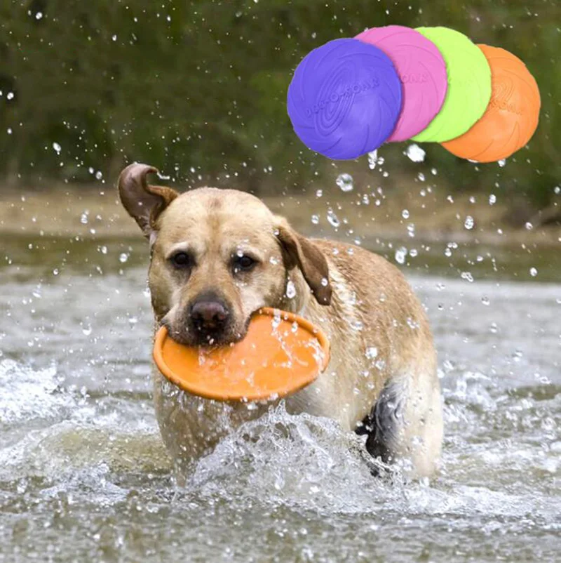 15CM Funny Dog Flying Disc Toys Interactive Chew Resistance Bite Soft Silicone Dog Accessories Training Supplies
15CM Funny Dog Flying Disc Toys Interactive Chew Resistance Bite Soft Silicone Dog Accessories Training Supplies