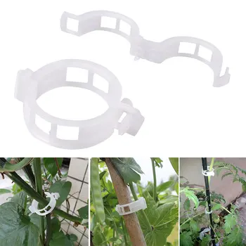 Plant Clip Plants Fixed Useful White Gadget Fashion Practical Drop Shipping Tomato Clips New Accessories Twine
Plant Clip Plants Fixed Useful White Gadget Fashion Practical Drop Shipping Tomato Clips New Accessories Twine
