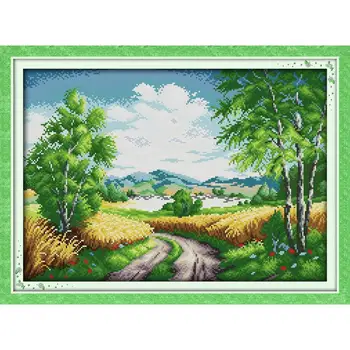 Country Road Scenery DIY Crafts11CT 14CT Printed Patterns Cross Stitch Kits DMC Counted on Canvas Embroidery Sets for Home Gifts
Country Road Scenery DIY Crafts11CT 14CT Printed Patterns Cross Stitch Kits DMC Counted on Canvas Embroidery Sets for Home Gifts