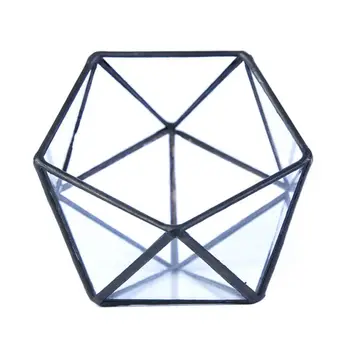 Glass Terrarium Storage Box Jewelry Holder,Glass Geometric Terrarium Tabletop Succulent Plant Box Planter Holder Case(Black /Gol
Glass Terrarium Storage Box Jewelry Holder,Glass Geometric Terrarium Tabletop Succulent Plant Box Planter Holder Case(Black /Gol