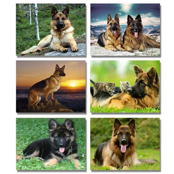 5D DIY Diamond Painting Cross Stitch German Shepherd Diamond Embroidery Dog Diamond Mosaic Pictures Full Round Rhinestones Beads
5D DIY Diamond Painting Cross Stitch German Shepherd Diamond Embroidery Dog Diamond Mosaic Pictures Full Round Rhinestones Beads