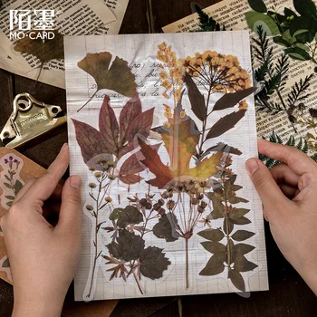 1set/1lot Kawaii Stationery Stickers Herbarium Diary Decorative Mobile Stickers Scrapbooking DIY Craft Stickers
1set/1lot Kawaii Stationery Stickers Herbarium Diary Decorative Mobile Stickers Scrapbooking DIY Craft Stickers