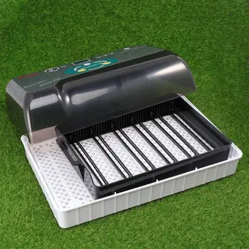 1Pc 12 Slots Automatic Chicken Incubator Home Use Incubator Chicken Duck Bird Incubator With UK/EU/US Plug Black
1Pc 12 Slots Automatic Chicken Incubator Home Use Incubator Chicken Duck Bird Incubator With UK/EU/US Plug Black