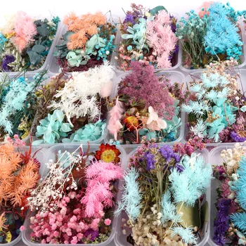 Resin Mold Silicone Filler Random A box Dried Flowers Epoxy Jewelry Pendant Bracelet Making Craft DIY Accessories
Resin Mold Silicone Filler Random A box Dried Flowers Epoxy Jewelry Pendant Bracelet Making Craft DIY Accessories
