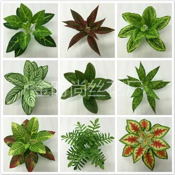 Model Calla Leaf Raw Silk Material Plant Wall with Wood 6 Head 14 Leaf Peacock Leaf Magnolia Leaves Arrowroot Leaves Potted Plan
Model Calla Leaf Raw Silk Material Plant Wall with Wood 6 Head 14 Leaf Peacock Leaf Magnolia Leaves Arrowroot Leaves Potted Plan