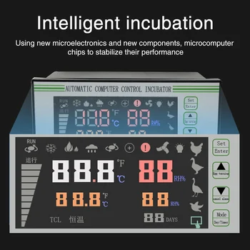 LCD Display Button Digital Humidity Sensor Multifunction Temperature Probe Professional Automatic Incubator Controller Hatchery
LCD Display Button Digital Humidity Sensor Multifunction Temperature Probe Professional Automatic Incubator Controller Hatchery