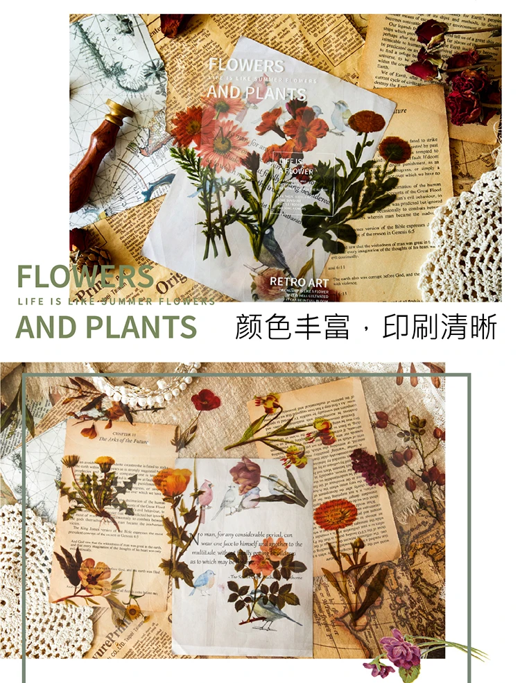 详情切片_06
