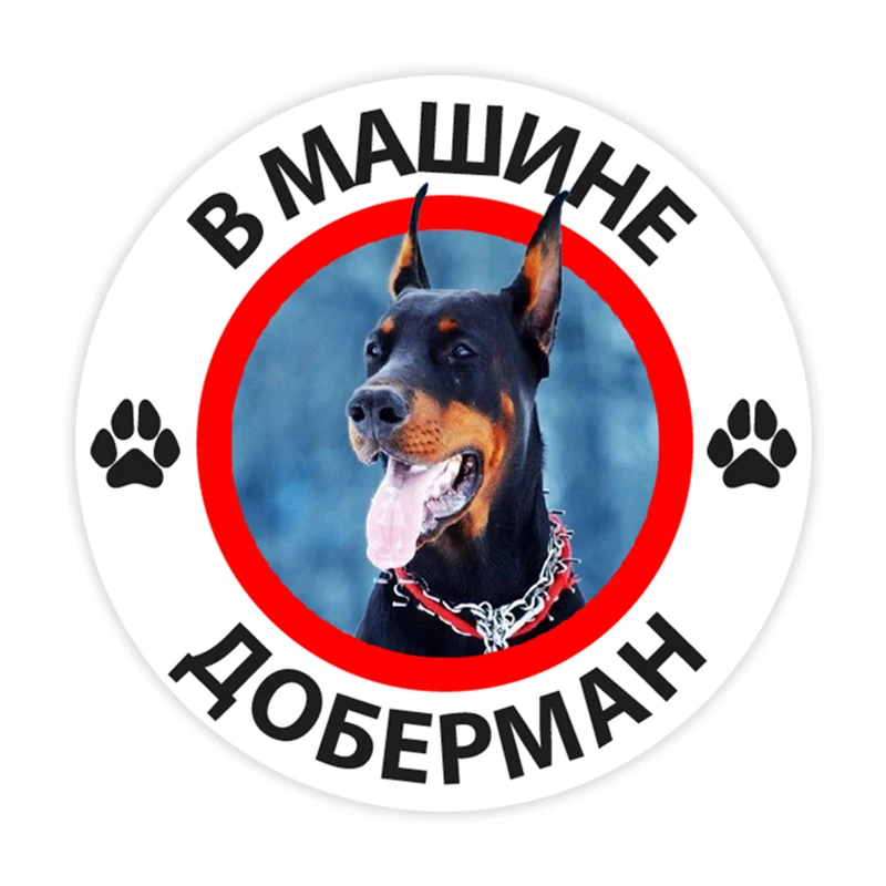 B0285# 10/13/15 cm Doberman in the Car Self-adhesive Decal Car Sticker Waterproof Auto Decors on Bumper Rear Window
B0285# 10/13/15 cm Doberman in the Car Self-adhesive Decal Car Sticker Waterproof Auto Decors on Bumper Rear Window