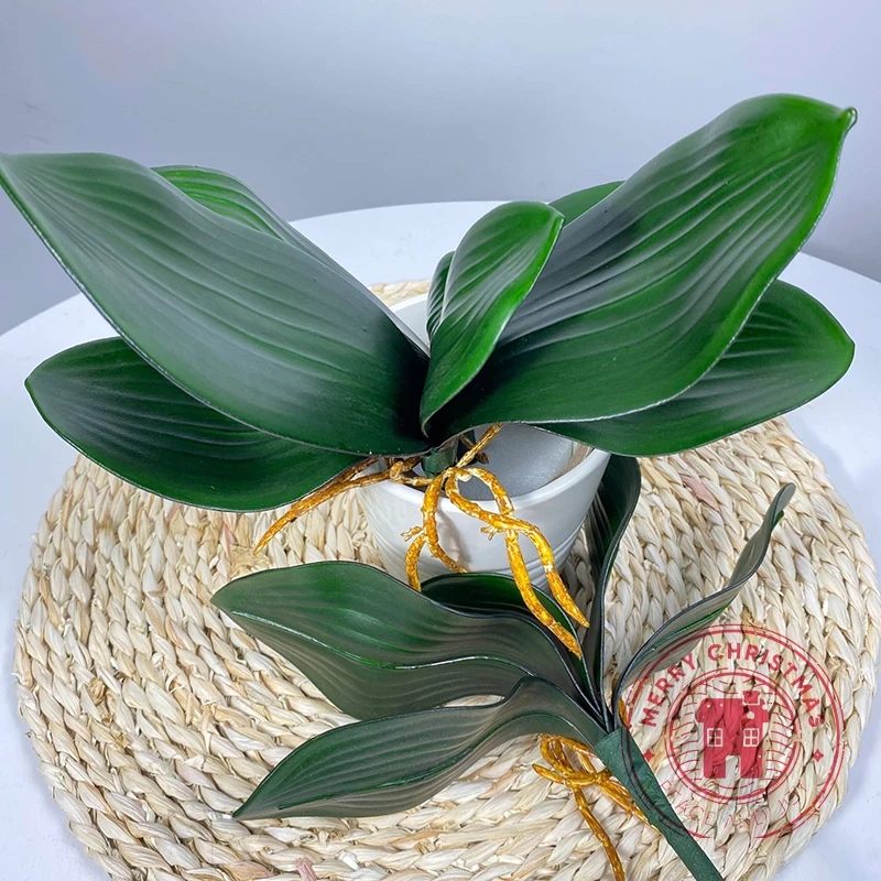 New Simulation Plants Phalaenopsis Leaf Decorative Flowers Auxiliary Material Flower Decoration Orchid Leaves Micro Landscape 
New Simulation Plants Phalaenopsis Leaf Decorative Flowers Auxiliary Material Flower Decoration Orchid Leaves Micro Landscape
