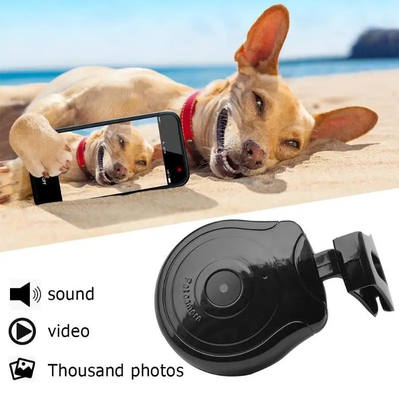 HD Digital Camera Pets Collar Anti-lost Video Voice Recorder Monitor Mini Camera Neck Hanging Pets Outdoor Activity Recorder Cam
HD Digital Camera Pets Collar Anti-lost Video Voice Recorder Monitor Mini Camera Neck Hanging Pets Outdoor Activity Recorder Cam