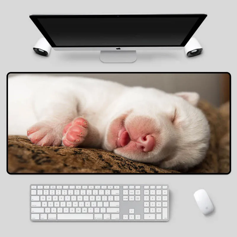 XGZ Exquisite large size animal mouse pad sleeping puppy pattern table pad imported rubber quality non-slip keyboard pad
XGZ Exquisite large size animal mouse pad sleeping puppy pattern table pad imported rubber quality non-slip keyboard pad