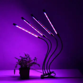 LED Plant Growth Light with Four Heads Clip USB Dimming Timing Desktop Plant Growth Lamp for table clip lamp
LED Plant Growth Light with Four Heads Clip USB Dimming Timing Desktop Plant Growth Lamp for table clip lamp