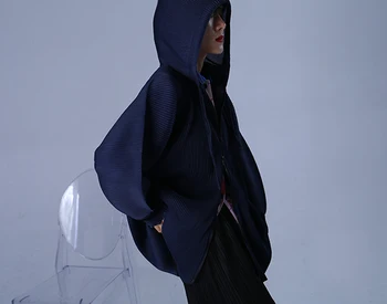 Miyake Designer Pleated Hooded Jacket Zipper Jacket
Miyake Designer Pleated Hooded Jacket Zipper Jacket