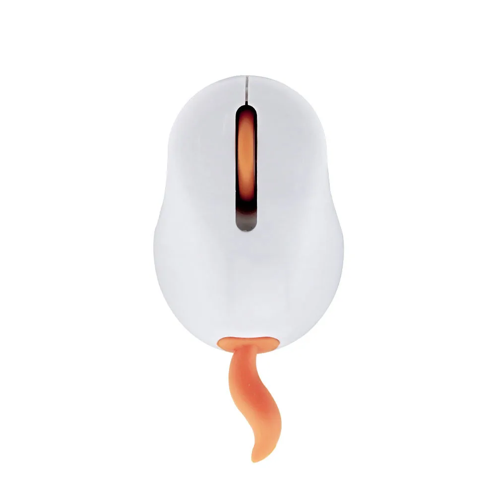 computer mouse