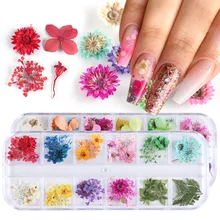 Mezcla de flores secas decoraciones de uñas joyas naturales pegatinas con forma de hoja 3D diseños de Arte de uñas esmalte accesorios de manicura TRF01-10(China)